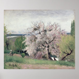 fruitbomen in Blossom, Bois-le-Roi Poster