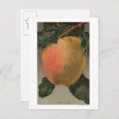 Fruitchroomafnemer van Belleflower Apple Briefkaart (Voorkant / Achterkant)