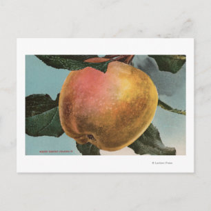 Fruitchroomlithograaf van White Winter Pearmain Briefkaart