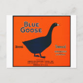  fruitetiket briefkaart (Voorkant)