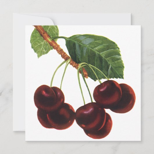 fruitgewassen, rijpe kersen van een boom (Voorkant)