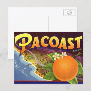 fruitkratelkunst, akoestische Sinaasappels Briefkaart