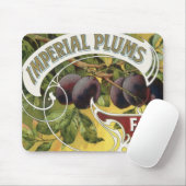 fruitkratelkunst, imperiale stekeltjes muismat (Met muis)