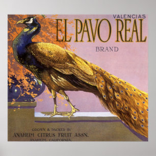 fruitkrattenlabel Art El Pavo Peacock Bird Poster