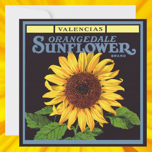  fruitkrattenlabel Art Orangedale Sunflower