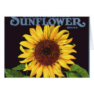  fruitkrattenlabel Art Orangedale Sunflower