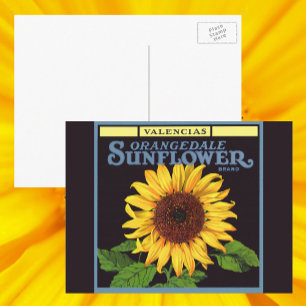  fruitkrattenlabel Art Orangedale Sunflower Briefkaart