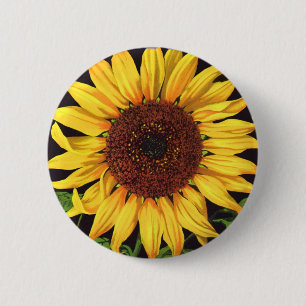  fruitkrattenlabel Art Orangedale Sunflower Ronde Button 5,7 Cm