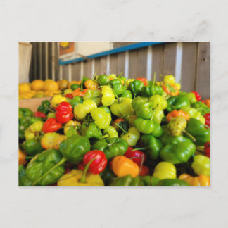 Fruitmand Aji Dulce Briefkaart