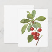 Fruits Anciens, Cerises par Redoute Invitation (Devant / Derrière)