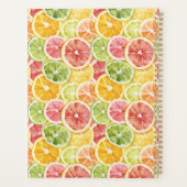 Fruits Citriques Lime Citron Orange Pamplemousse (Dos)
