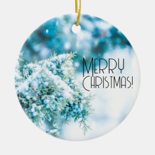 Fruits couverts de neige ornement d'hiver