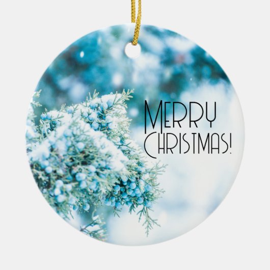 Fruits couverts de neige ornement d'hiver (Devant)