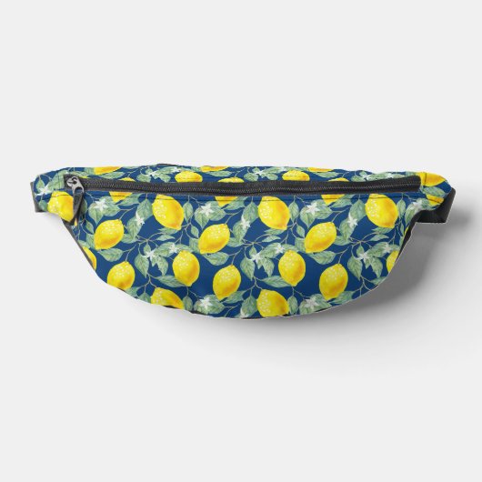 FRUITS DE CITRON DANS UN BLEU CAMPAGNARD (Poser)
