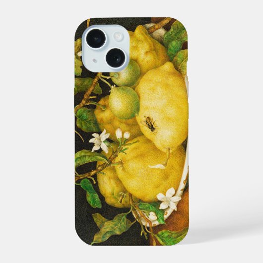 FRUITS DE SAISON CITRONS ET FLEURS BLANCHES (Verso)