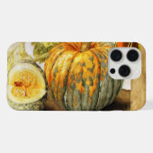 FRUITS DE SAISON / CITROUILLES (Verso Horizontal)