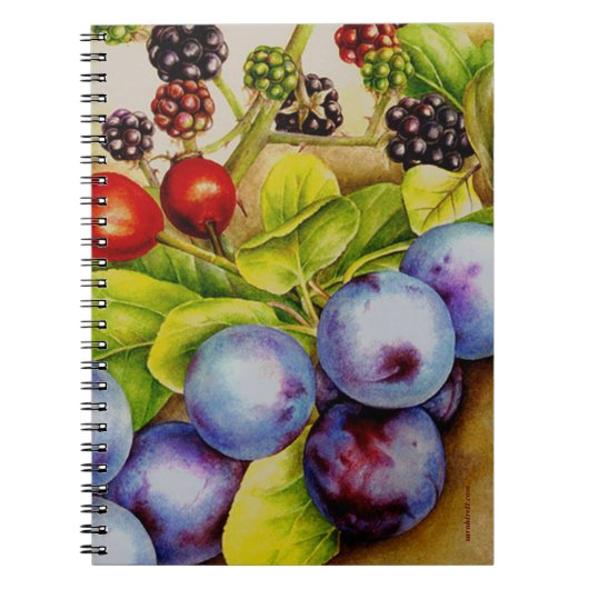 Fruits du carnet d'art de Hedgerow (Devant)