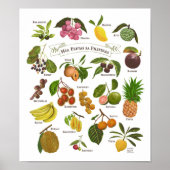 Fruits op de Filipijnen Poster (Voorkant)