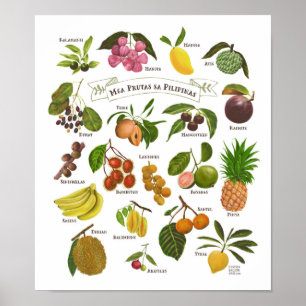 Fruits op de Filipijnen Poster