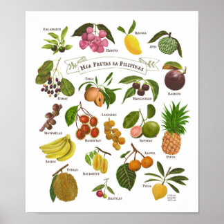 Fruits op de Filipijnen Poster