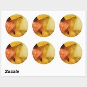 Fruits Ronde Sticker (Vel)