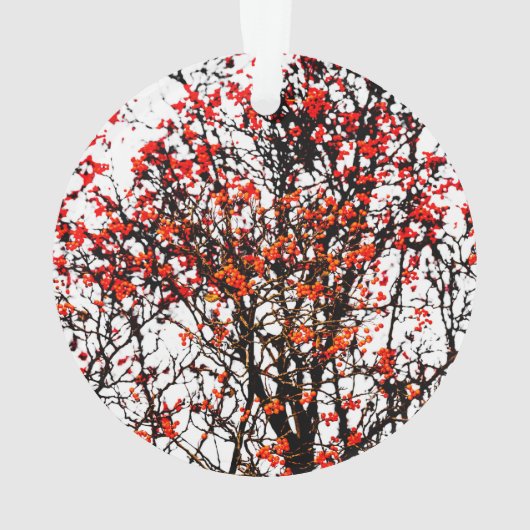 Fruits rouges ou fraises (dos)