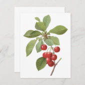 Fruits vintages, cerises par Redoute Invitation (Devant / Derrière)