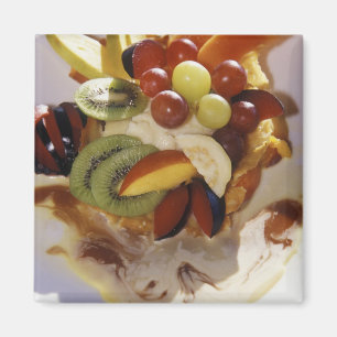Fruitsalade met ijs. magneet