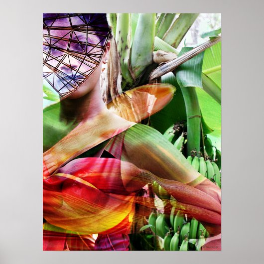 fruitvlucht fruit land poster (Voorkant)