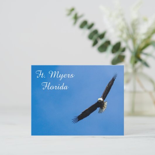 Ft. Carte postale Myers Bald Eagle (Debout devant)