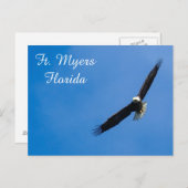 Ft. Carte postale Myers Bald Eagle (Devant / Derrière)