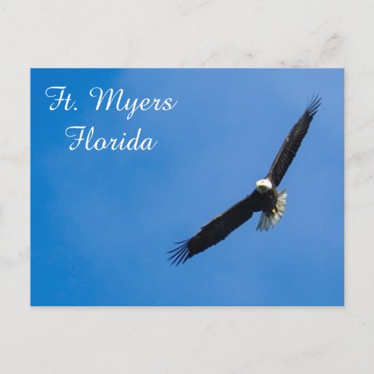 Ft. Carte postale Myers Bald Eagle (Devant)