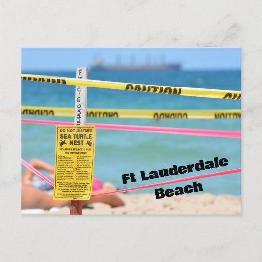 Ft Lauderdale Beach Zee Schildpad Nesten Seizoen Briefkaart (Voorkant)