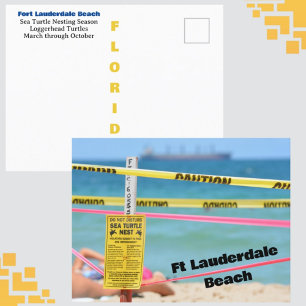 Ft Lauderdale Beach Zeeschildpad Nestseizoen Briefkaart