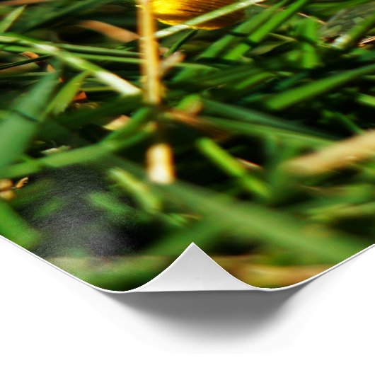 Fubby poppetjes die dansen met Narcissenjurk. Perfect Poster (Hoek)