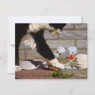 Fubby spelend met hun vriend de poes. notitiekaartje