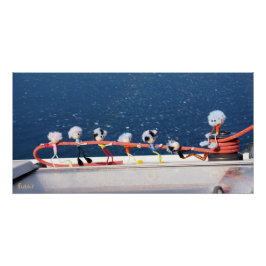 Fubby's die een lijn lieren van een Zeilboot. Perfect Poster