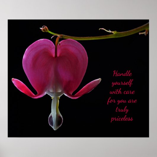 Fuchsia-aanmoediging Poster (Voorkant)