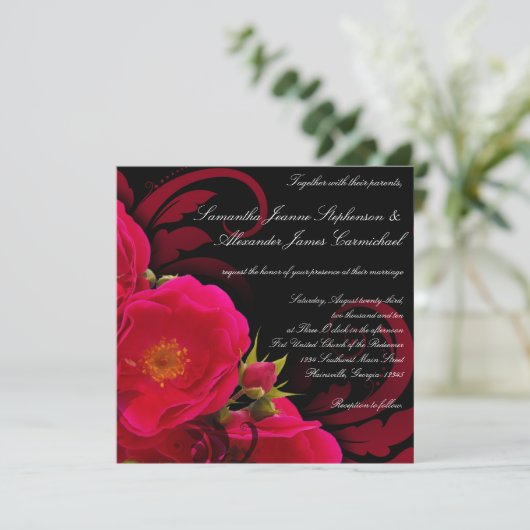 Fuchsia and Black Garden Roos with Swirl Square Kaart (Staand voorkant)