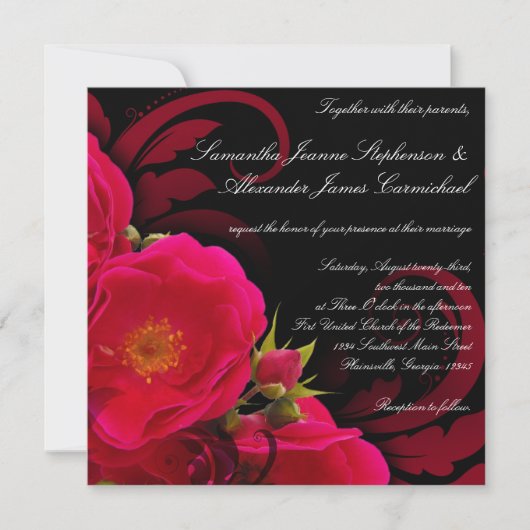 Fuchsia and Black Garden Roos with Swirl Square Kaart (Voorkant)