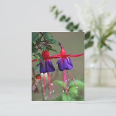 Fuchsia and Hummingbird Briefkaart (Staand voorkant)