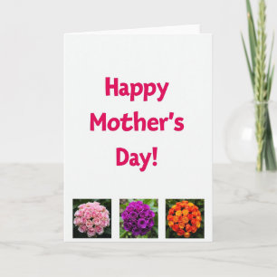 Fuchsia Bloemen Wenskaart Kaart