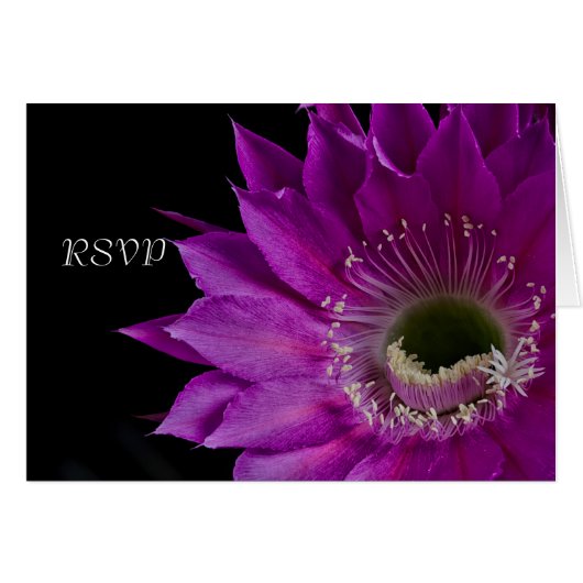 Fuchsia Cactus flower RSVP (Voorkant Horizontaal)