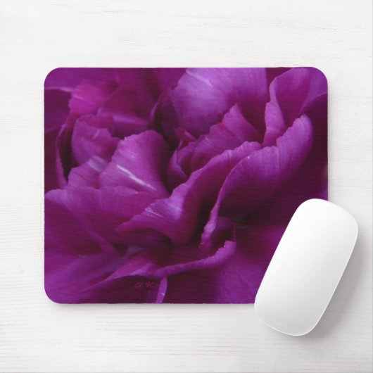 Fuchsia Carnenmousepad Muismat (Met muis)