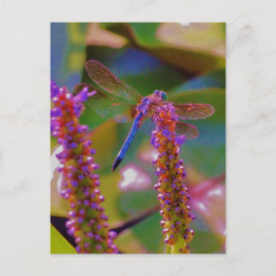 Fuchsia flower en dragon fly briefkaart