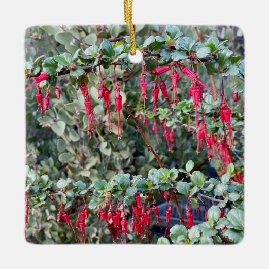 Fuchsia Flower Gooseberry Keramisch Ornament (Voorkant)