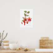 Fuchsia 'Monarch' Poster (Keuken)