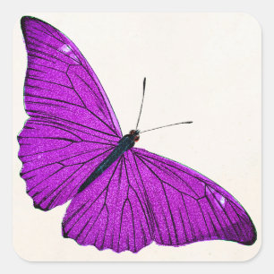  Fuchsia Paars Butterfly 1800 Illustration Vierkante Sticker