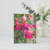 Fuchsia Paula Jane Briefkaart (Staand voorkant)