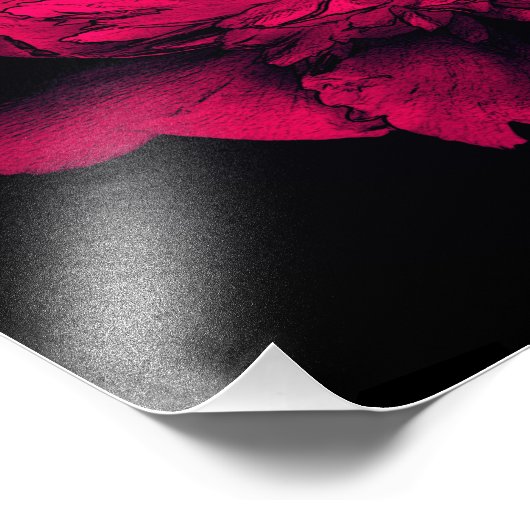 Fuchsia Peony Flower Abstract Bloemen Art 8x10 Foto Afdruk (Hoek)